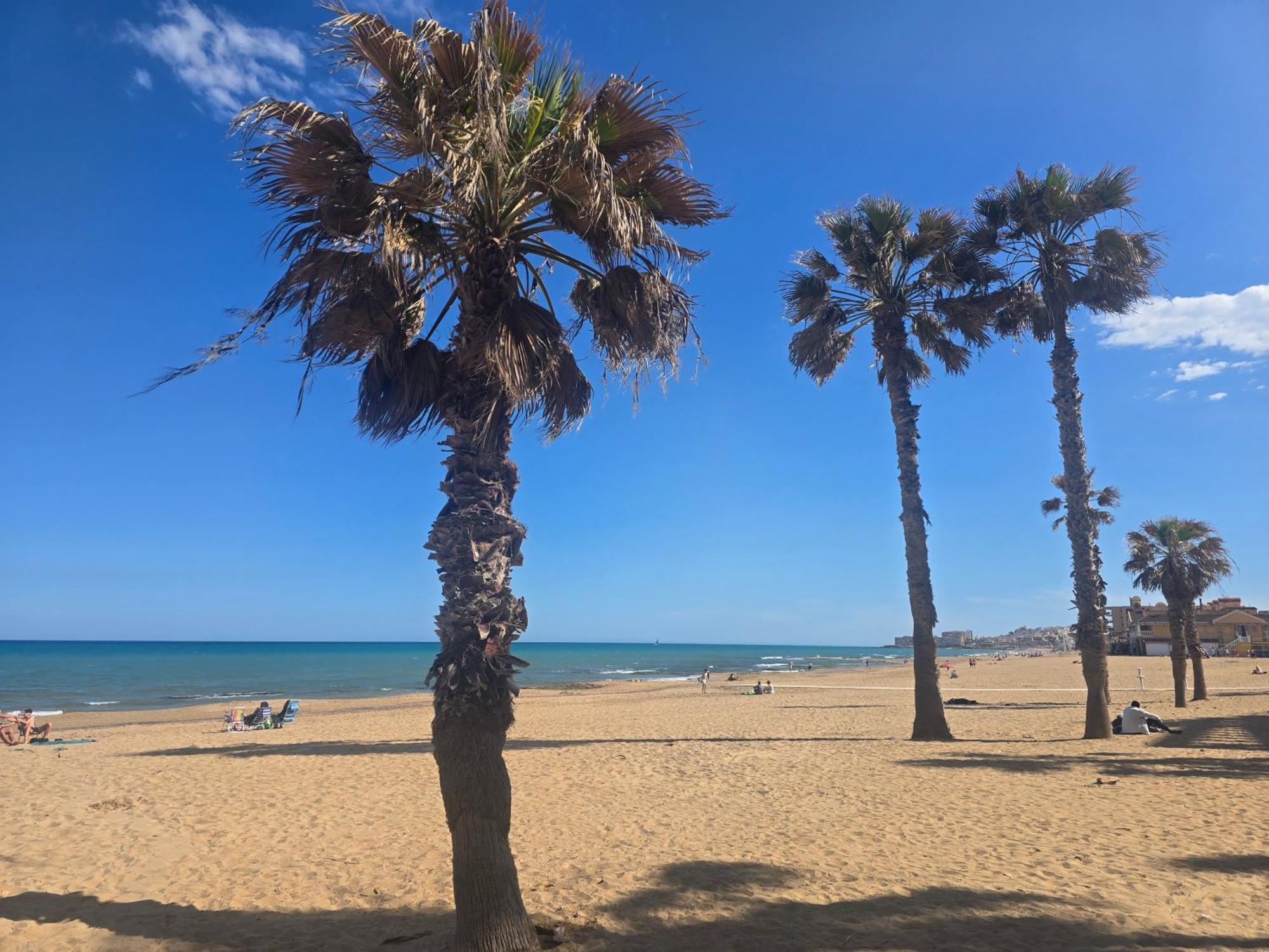 Lovely Apartment Near The Beach In Sunny La Mata Торрев'єха Екстер'єр фото